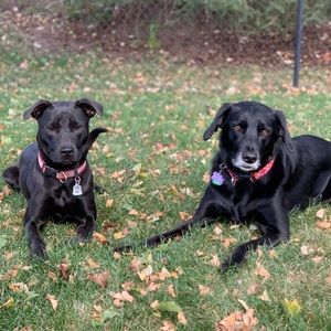 Meet your Posher, Kourtney